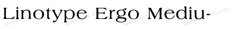 Linotype Ergo Mediu字体转换